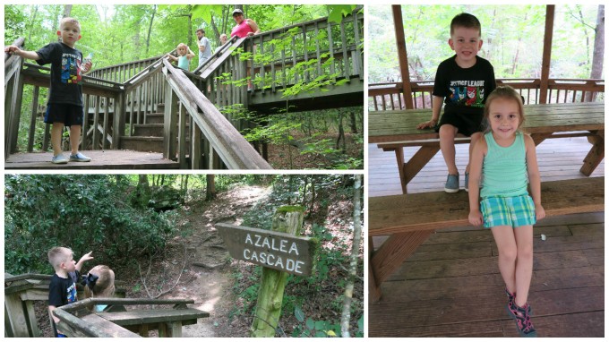 Dear Jack: Our 1st Father and Son Road Trip- Azalea Cascade Trail at DeSoto State Park (in the 2016 Lexus ES 300h)